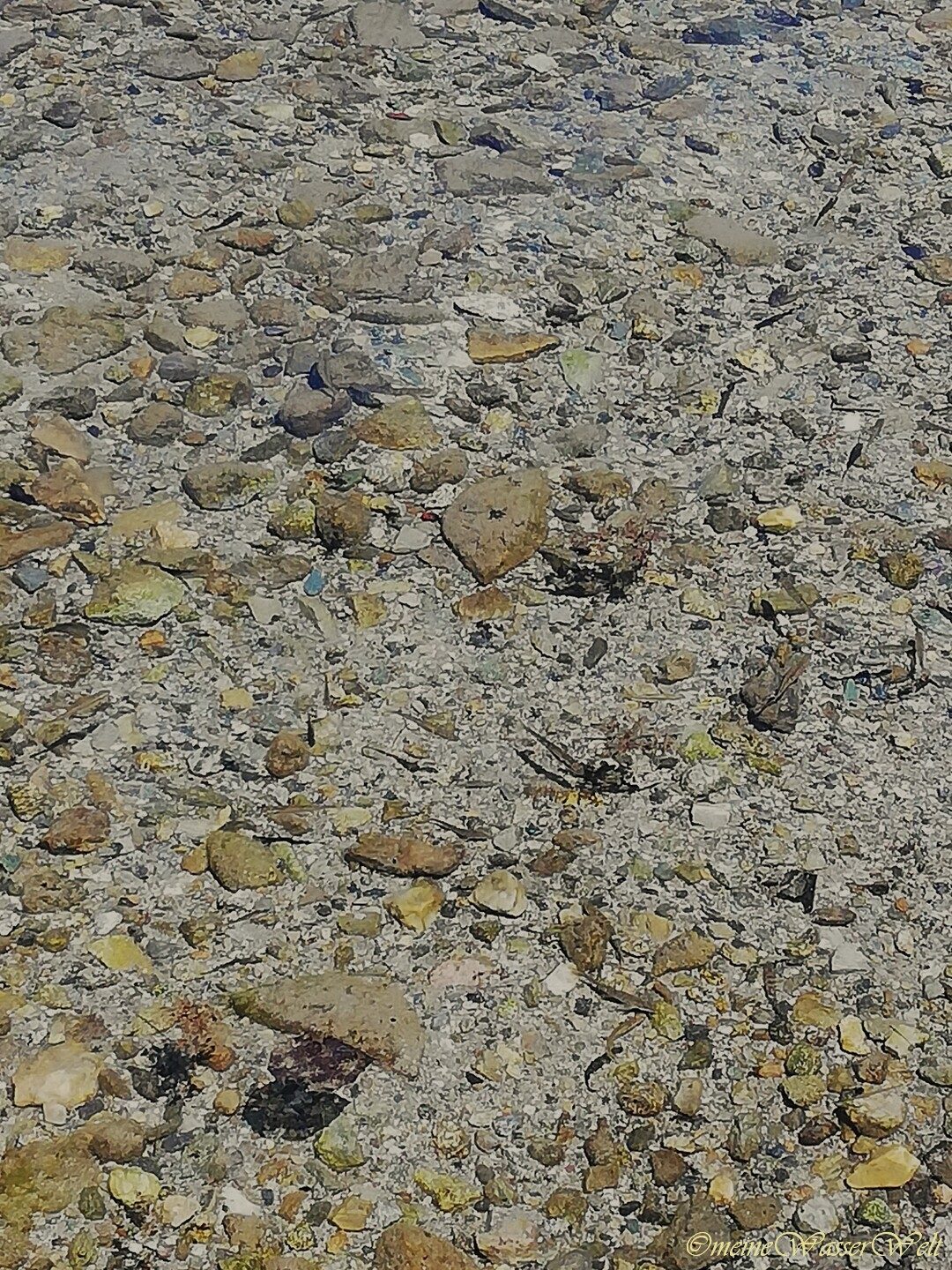 St. Moritzsee