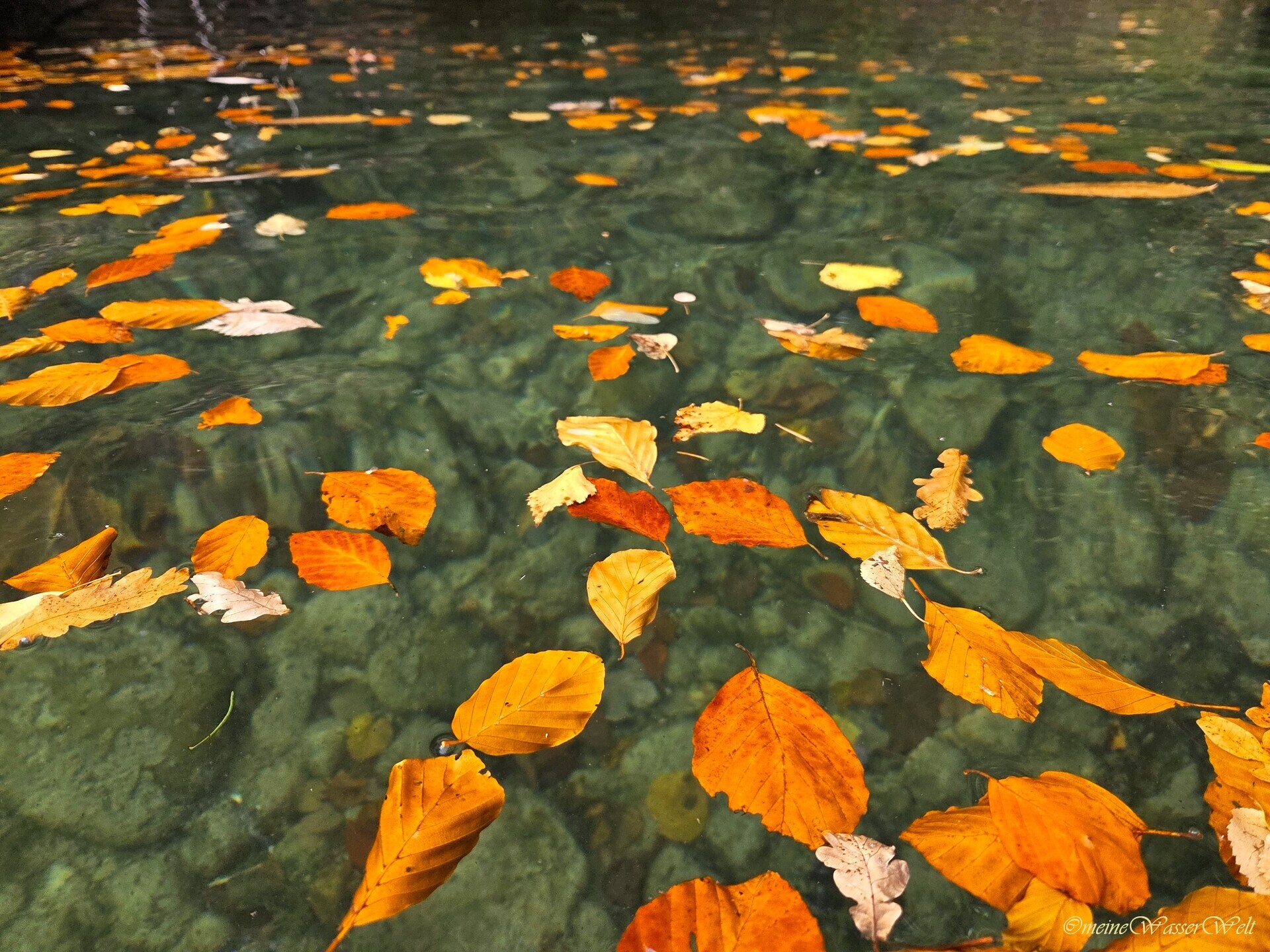 Herbst