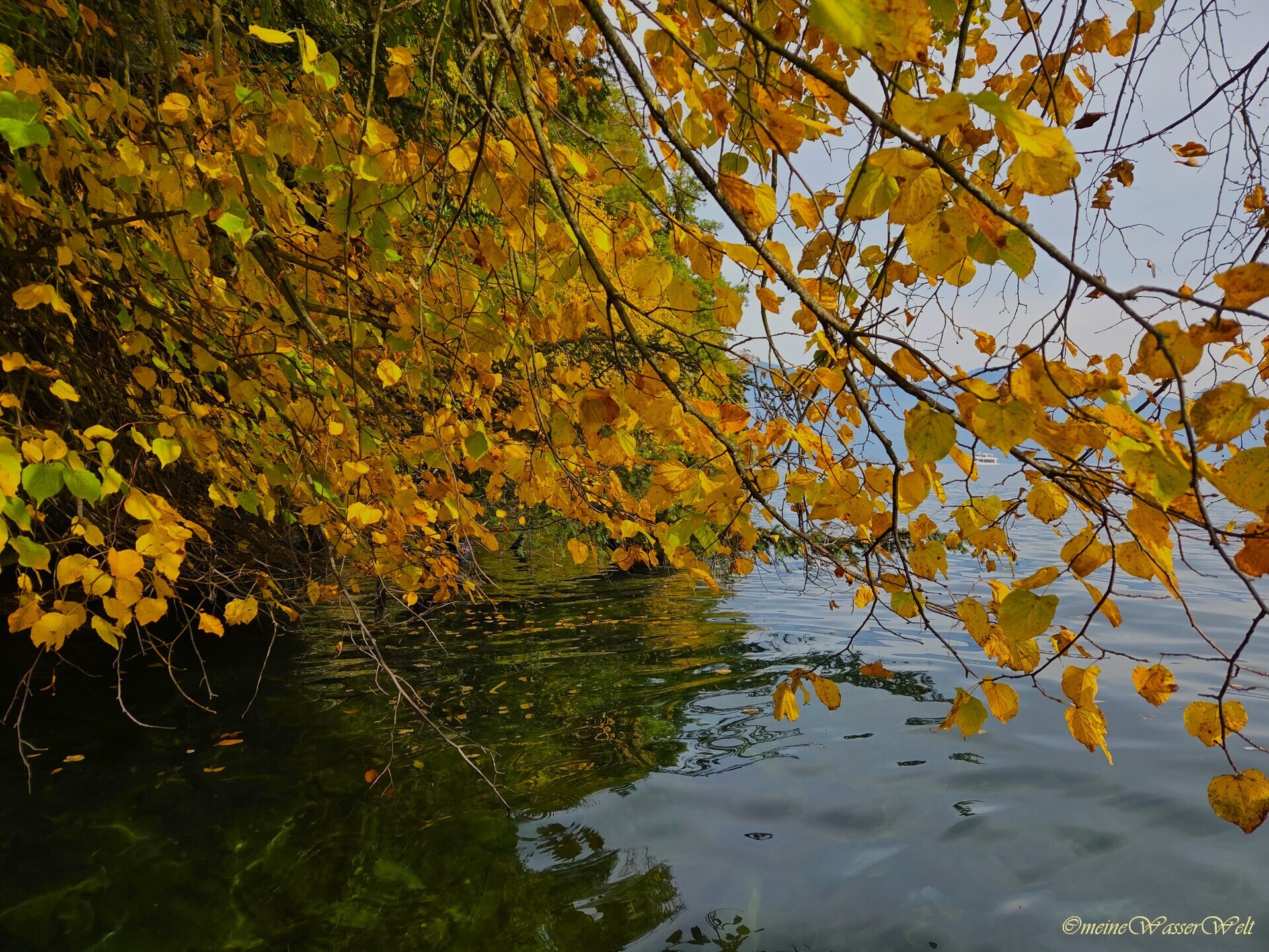 Herbst
