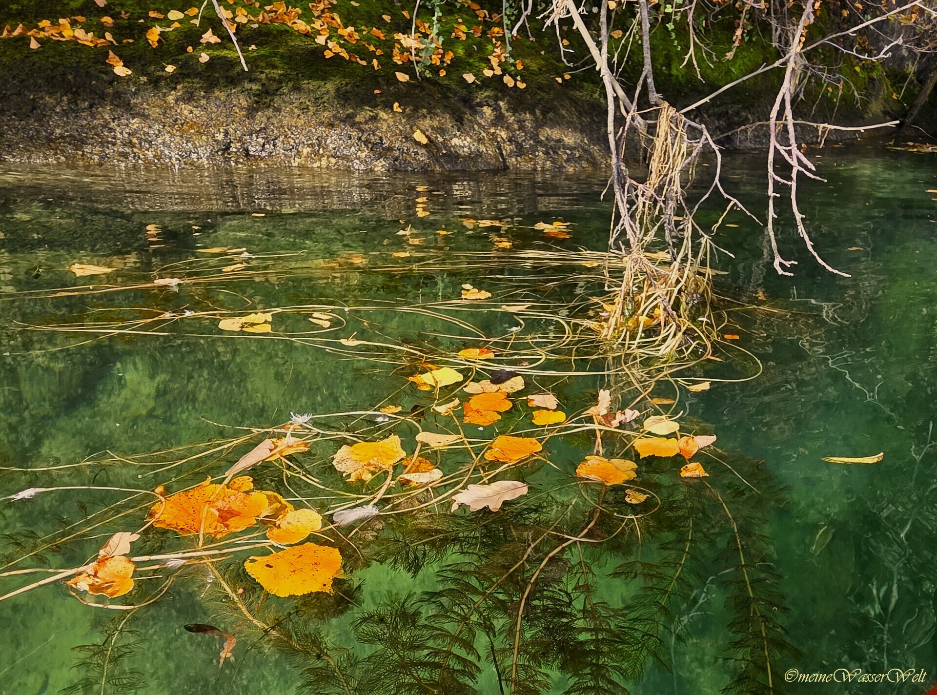 Herbst