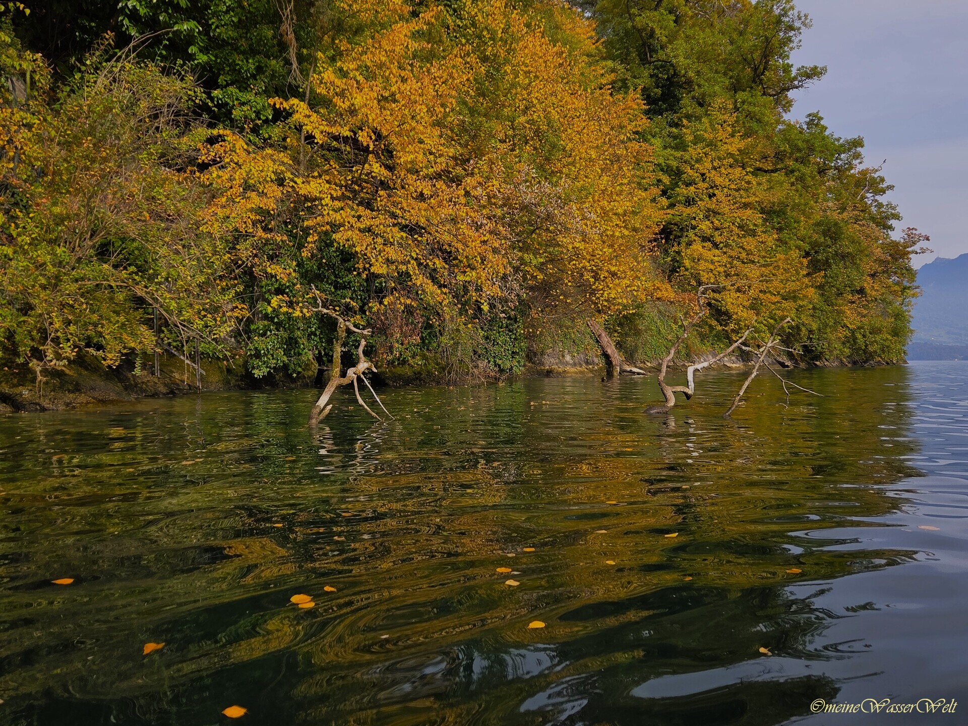 Herbst