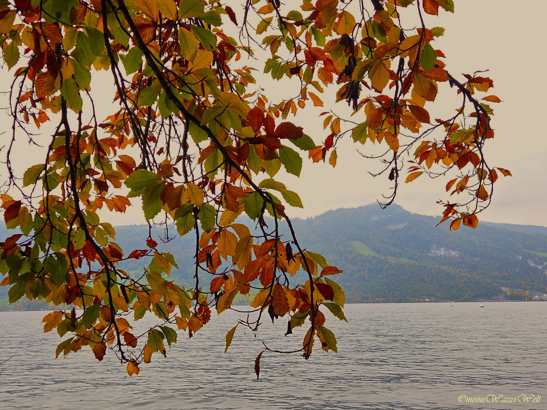 Herbst