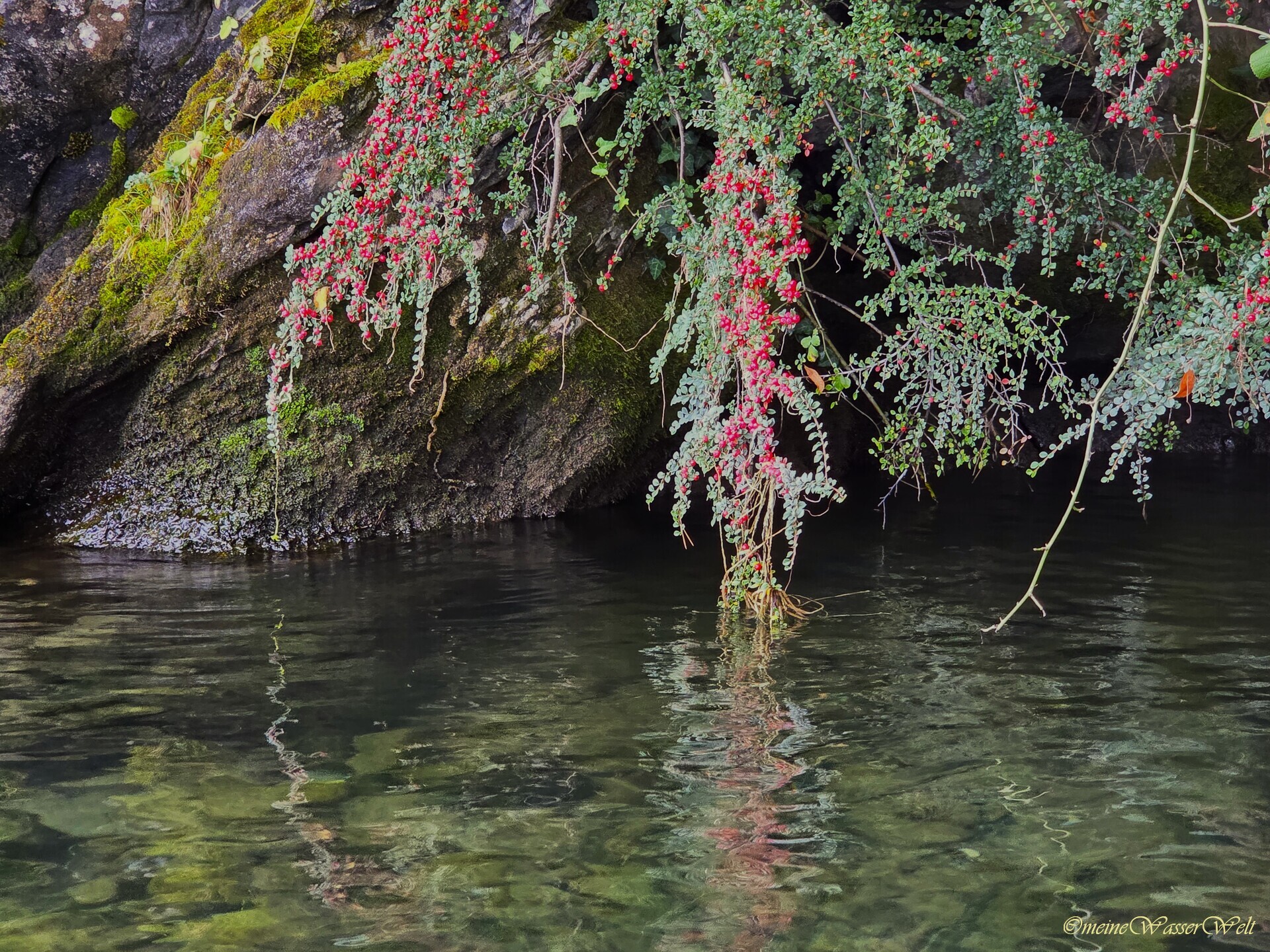 Herbst