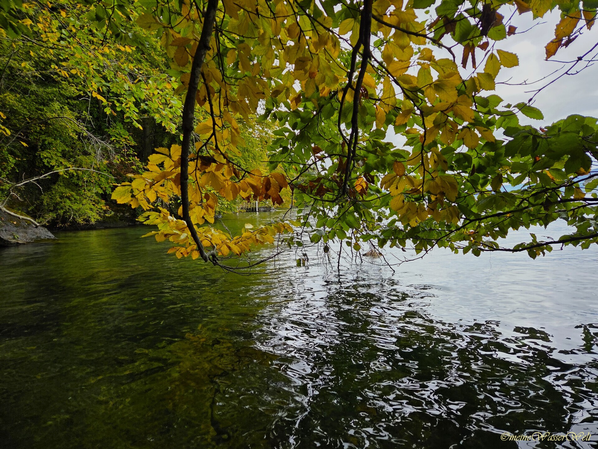 Herbst