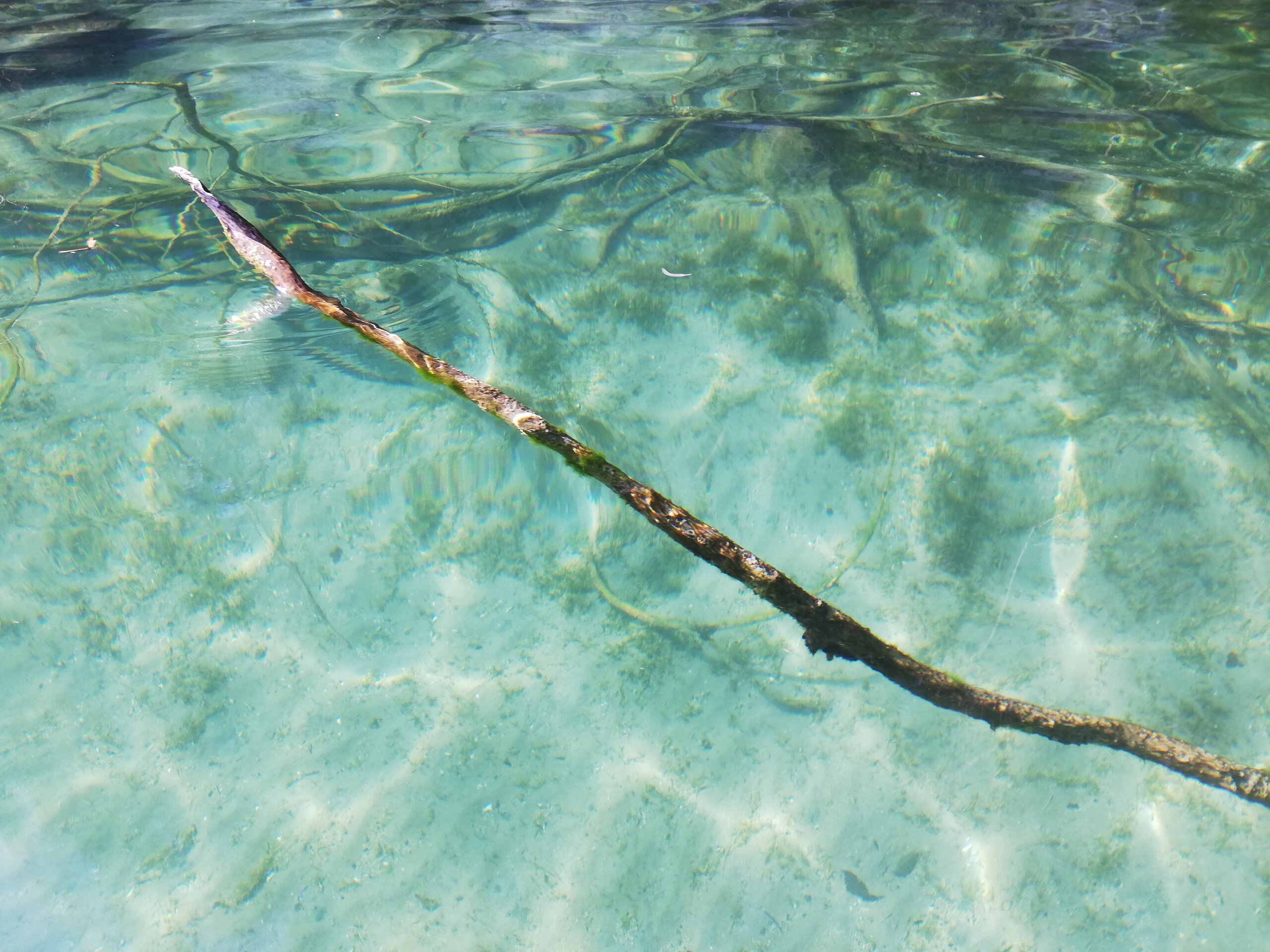 Adventskalender 2025